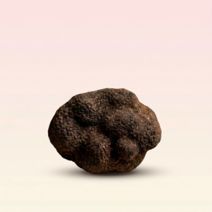 Trufa negra 20gr